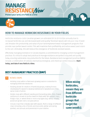 How to manage herbicide resistance in your fields - Manage Resistance Now
